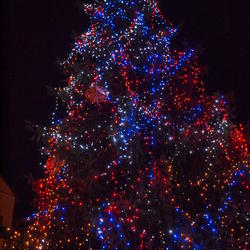 zdjecie w liście aktualnosci