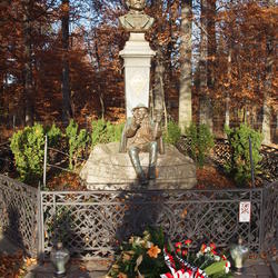 zdjecie w liście aktualnosci