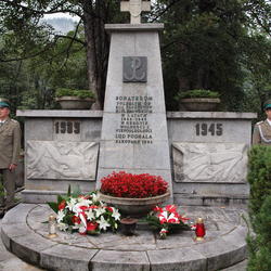 zdjecie w liście aktualnosci