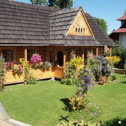 zdjecie w liście aktualnosci