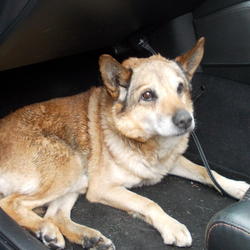 zdjecie w liście aktualnosci