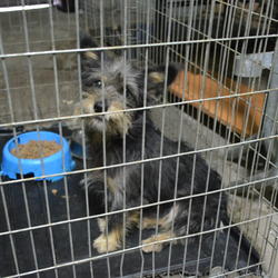 zdjecie w liście aktualnosci