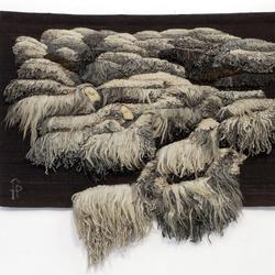 zdjecie w liście aktualnosci