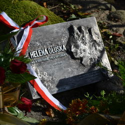 zdjecie w liście aktualnosci