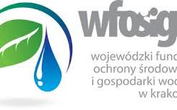 zdjecie w liście aktualnosci