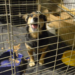 zdjecie w liście aktualnosci