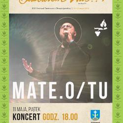 zdjecie w liście aktualnosci