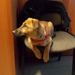 zdjecie w liście aktualnosci