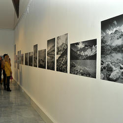 zdjecie w liście aktualnosci