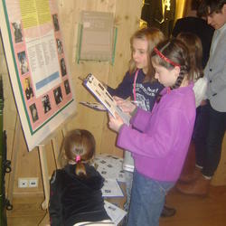 zdjecie w liście aktualnosci