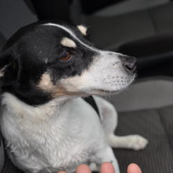 zdjecie w liście aktualnosci