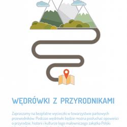 zdjecie w liście aktualnosci