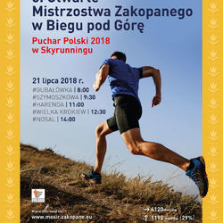 zdjecie w liście aktualnosci