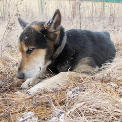 zdjecie w liście aktualnosci