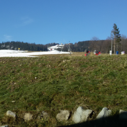 zdjecie w liście aktualnosci