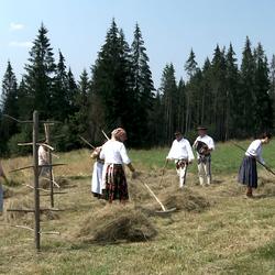 zdjecie w liście aktualnosci