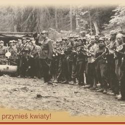 zdjecie w liście aktualnosci