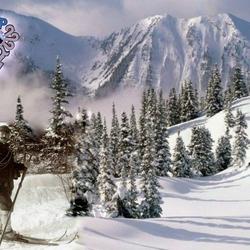 zdjecie w liście aktualnosci