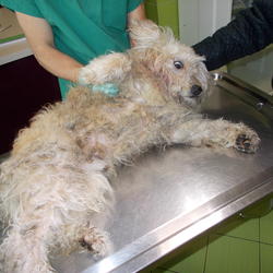 zdjecie w liście aktualnosci