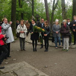 zdjecie w liście aktualnosci