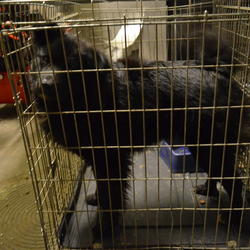 zdjecie w liście aktualnosci