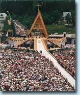 zdjecie w liście aktualnosci