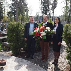 zdjecie w liście aktualnosci