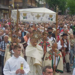zdjecie w liście aktualnosci