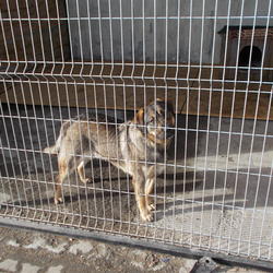 zdjecie w liście aktualnosci