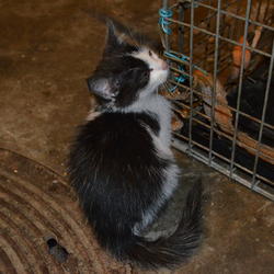 zdjecie w liście aktualnosci