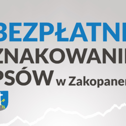 zdjecie w liście aktualnosci