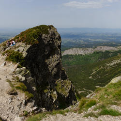 zdjecie w liście aktualnosci
