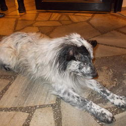 zdjecie w liście aktualnosci