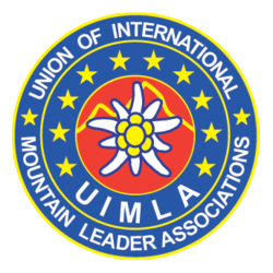 zdjecie w liście aktualnosci