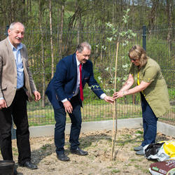 zdjecie w liście aktualnosci