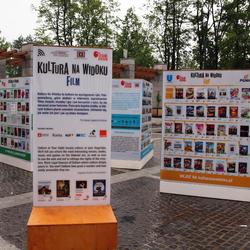 zdjecie w liście aktualnosci