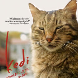 zdjecie w liście aktualnosci