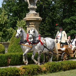 zdjecie w liście aktualnosci