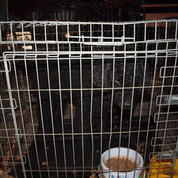 zdjecie w liście aktualnosci