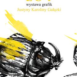 zdjecie w liście aktualnosci