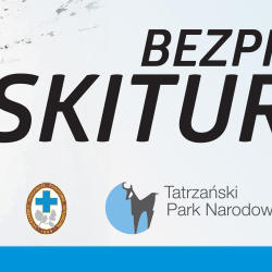 zdjecie w liście aktualnosci